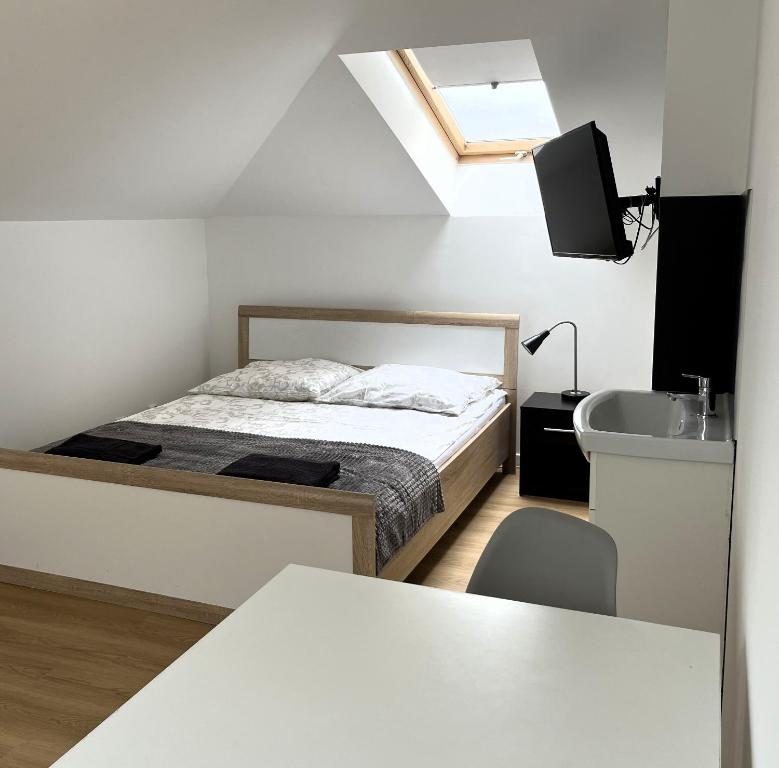 Attic room with skylight and sink